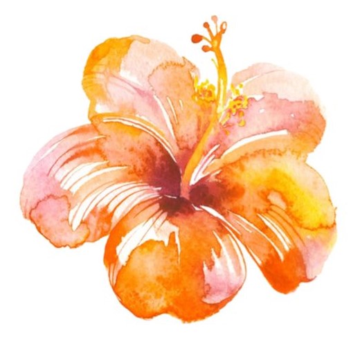 Imagen misión tropical